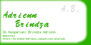 adrienn brindza business card
